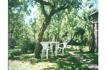 Chalet Česká Olešná 2